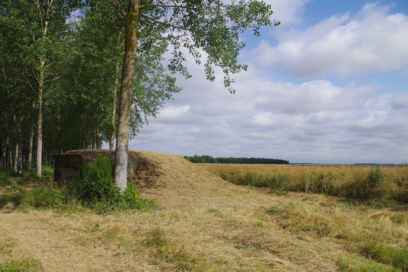 randonnée ligne Chauvineau, Aquilon, Aquilon Découverte, visite, randonnée, histoire, architecture, archéologie, Senlis, tourisme, Valois, Oise, famille, comité d'entreprise, groupe, château, église, abbaye