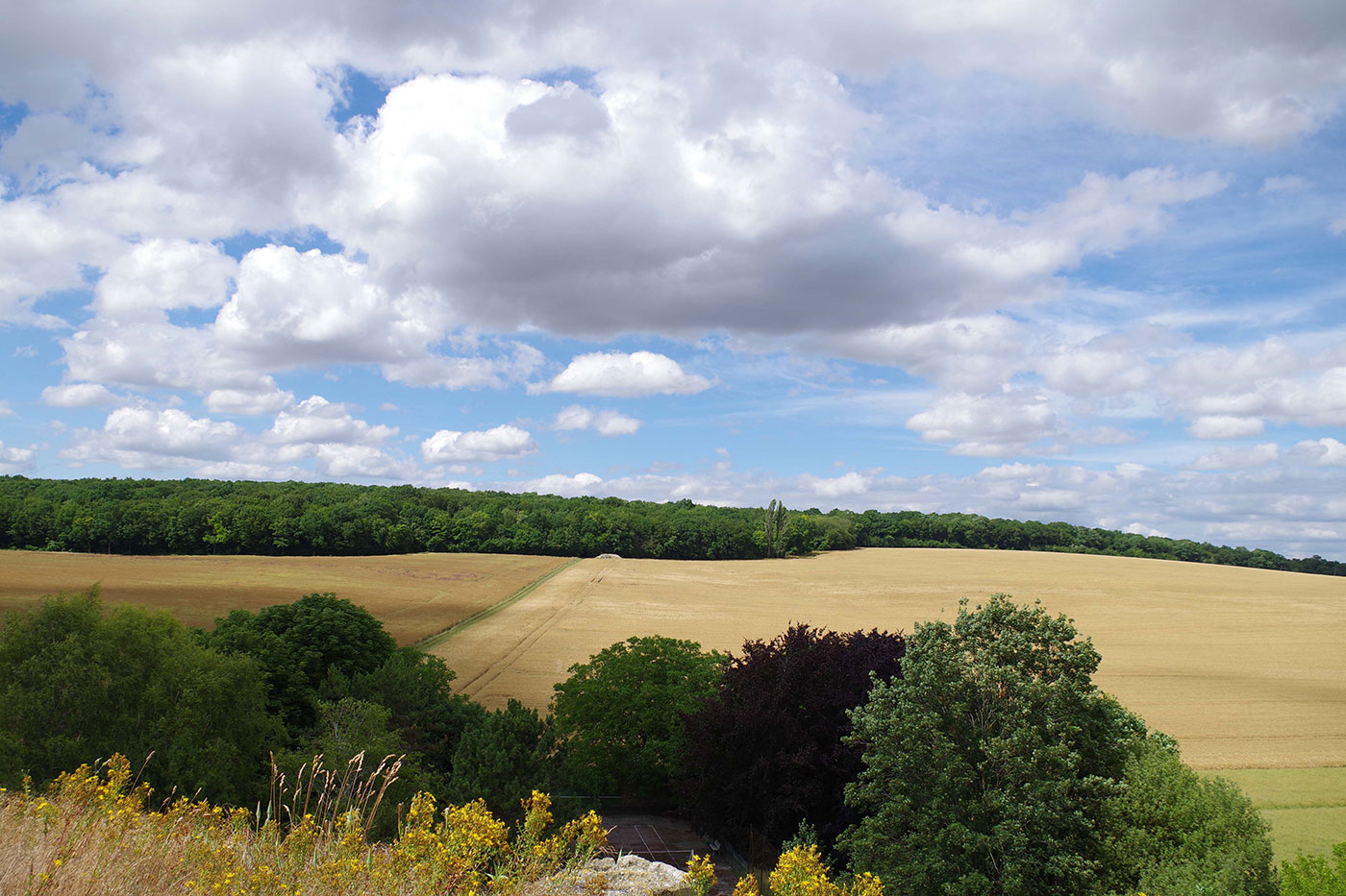 randonnée des sires de Braine, Aquilon, Aquilon Découverte, Aisne, Soissons, Château-Thierry, portes de la Champagne, visite, randonnée, histoire, architecture, archéologie, tourisme, famille, comité d'entreprise, groupe, château, église, abbaye, forêt