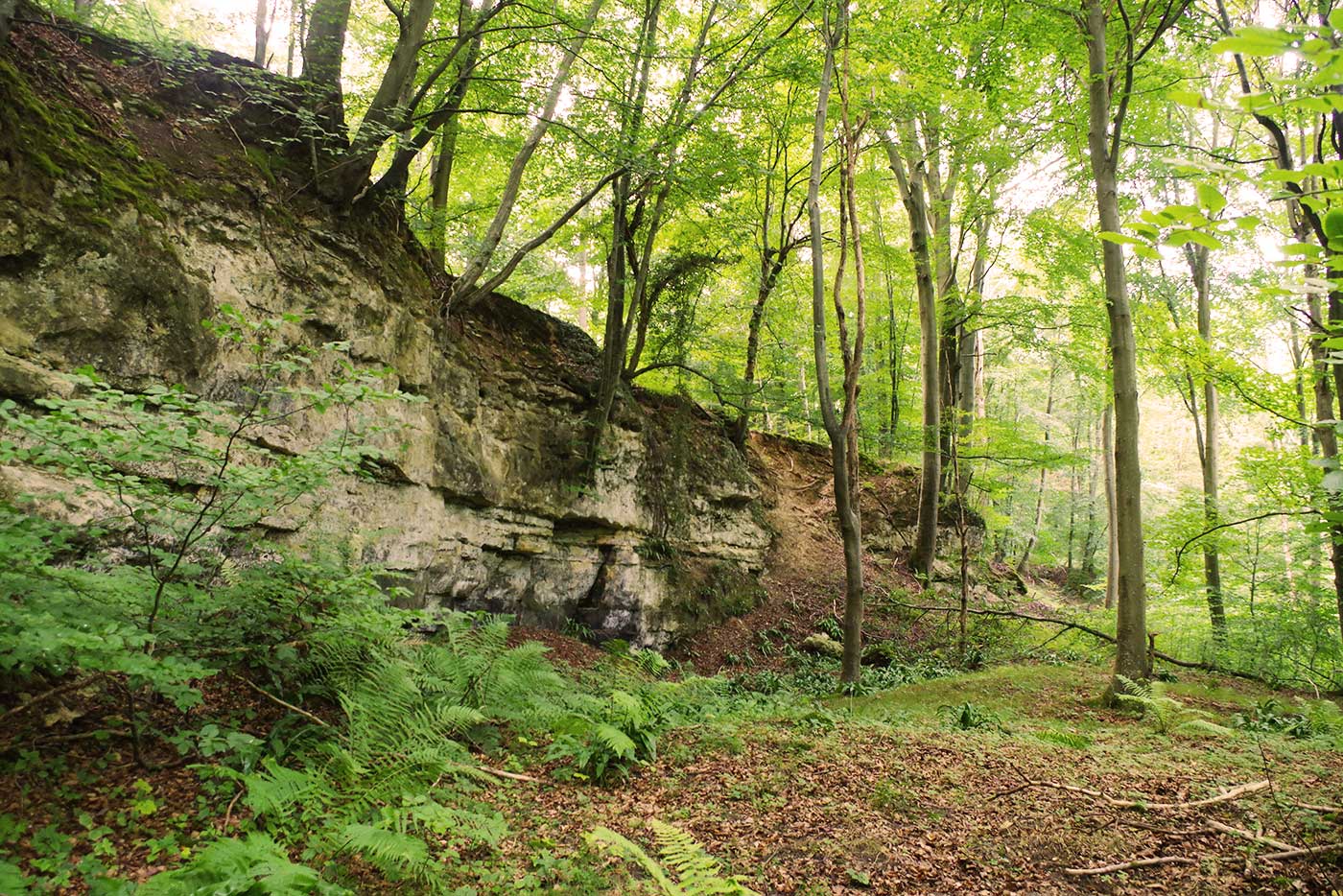 randonnée Morienval côté forêt, Aquilon, Aquilon Découverte, visite, randonnée, histoire, architecture, archéologie, Senlis, Compiègne, tourisme, Valois, Oise, famille, comité d'entreprise, groupe, château, église, abbaye, forêt